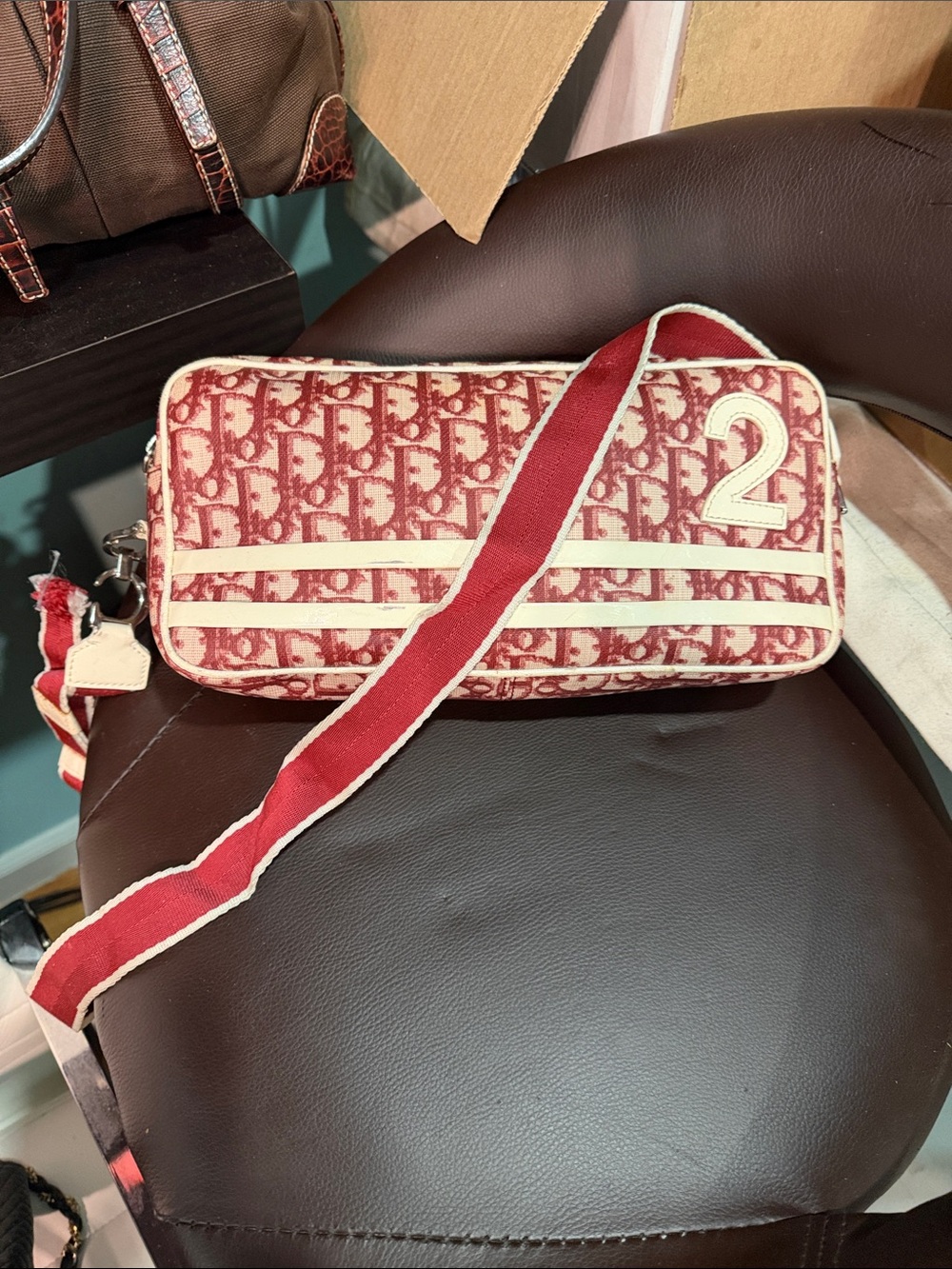 Dior Trotter Project Bag (strap cut)